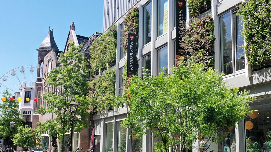 La façade végétalisée permet de réduire la température du grand magasin Vanderveen de 14,6 °C