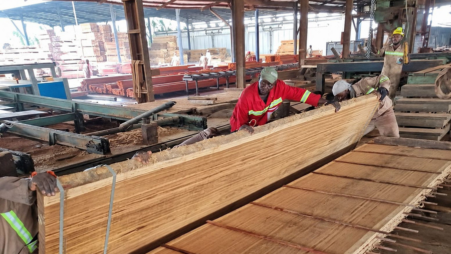 Afrika's eerste ThermoWood®: SanghaWood start productie in Kameroen