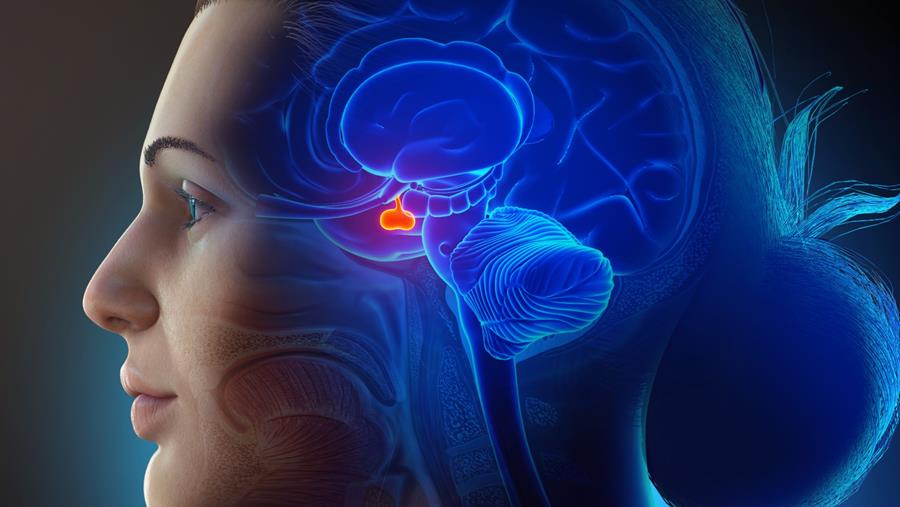 Prolactinoom: behandeling herevalueren bij de menopauze
