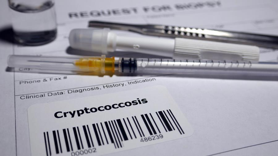 Recidiverende meningitis bij een patiënte met hiv: isavuconazol alternatief voor fluconazol