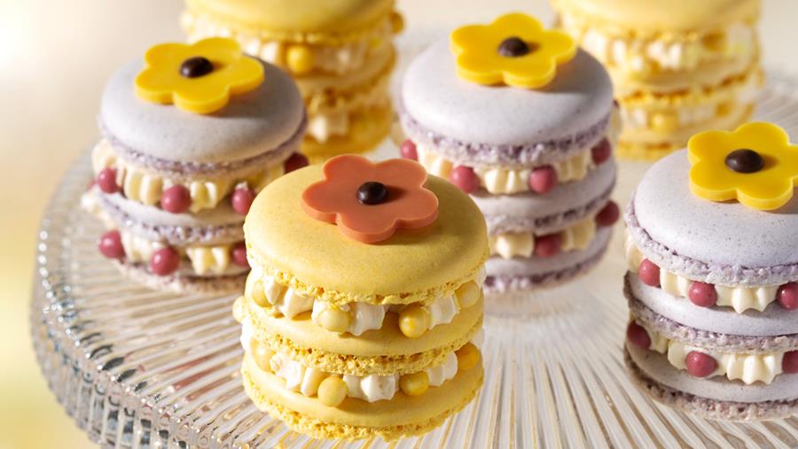 Mona Lisa Studio (IBC), kleurstof- en decoratie-expert