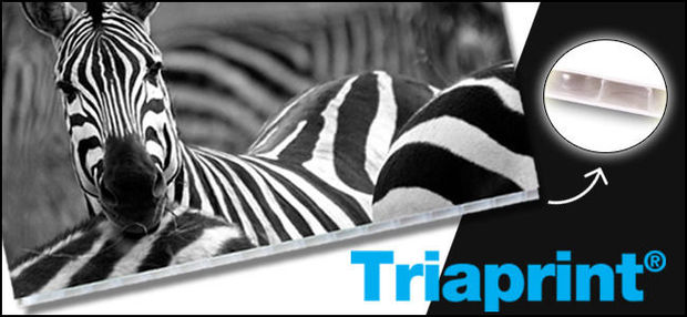 Nieuw bij Antalis : Triaprint® plaatmateriaal - PVC-vrij