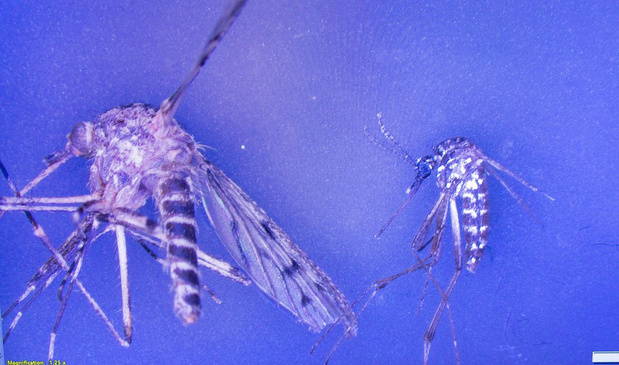 La santé des (petits-) enfants, principale préoccupation face au climat (MC)