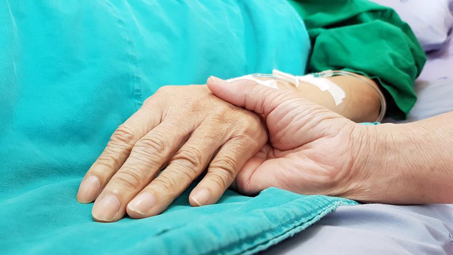 L'honoraire d'euthanasie à partir du 1er novembre