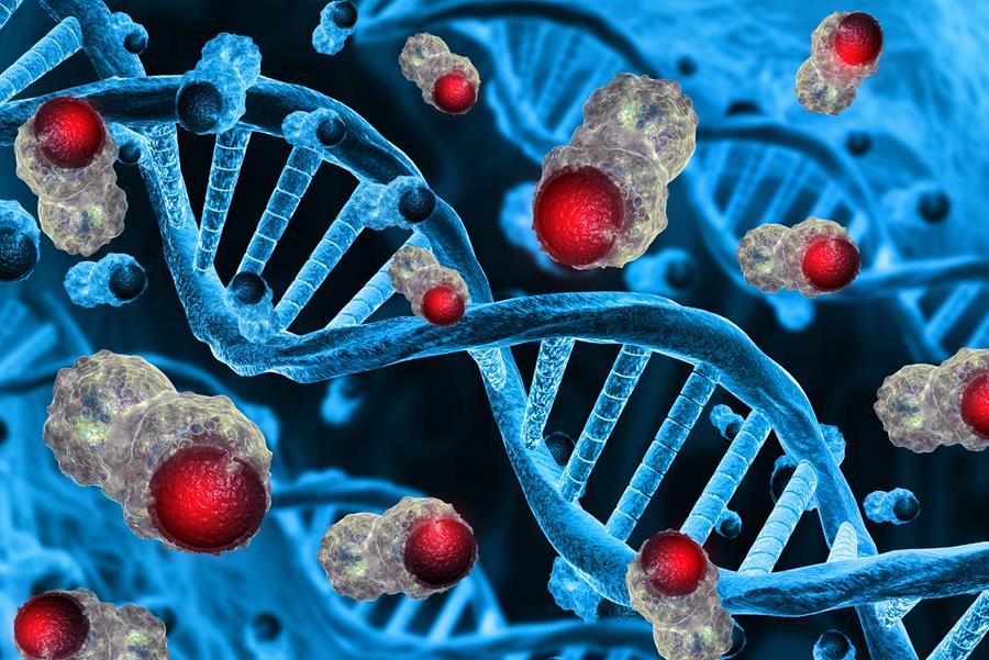 Des chercheurs de l'UZ Leuven et de la KU Leuven développent un test sanguin capable de détecter des cancers