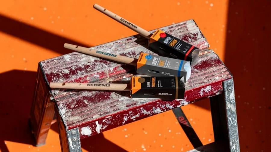 Pourquoi les peintres choisissent les pinceaux Anza Pro