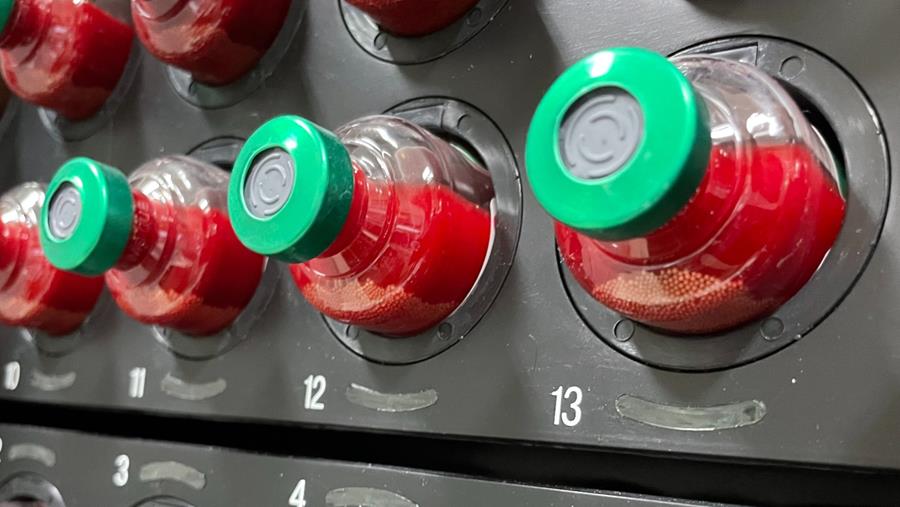 Timing antibioticakuur bij infectieuze endocarditis: mag je wachten op het resultaat van de hemoculturen?
