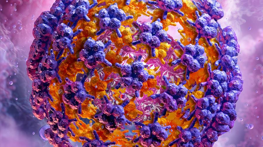 Cover AK Specialist Update Infectiologie