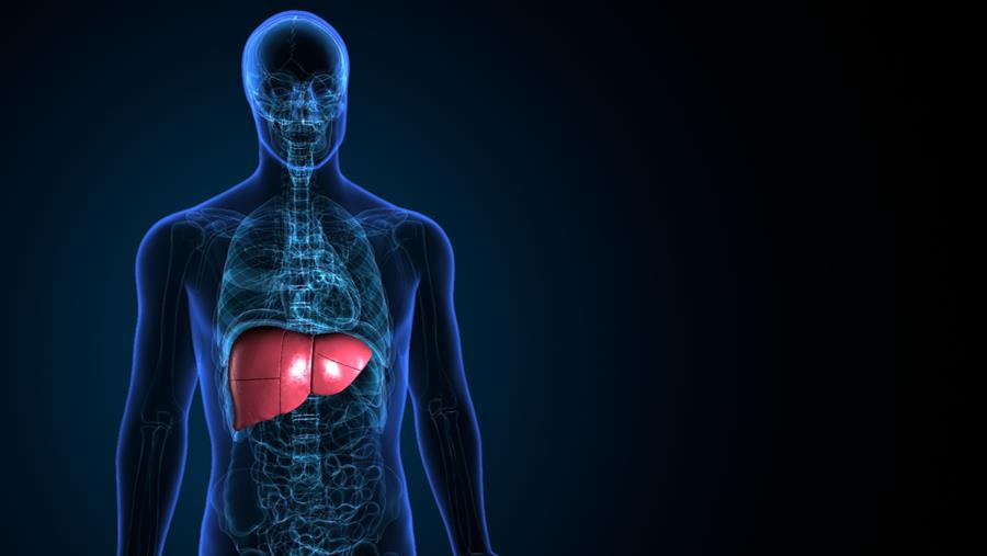 Hepatitis D, meest ernstige virale hepatitis